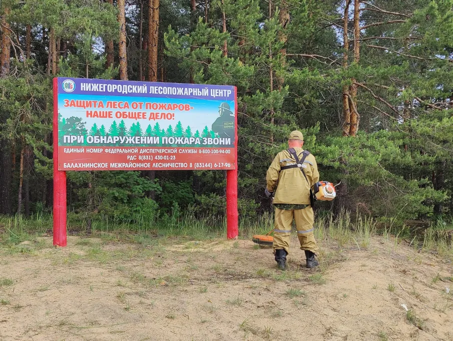 В лесах Нижегородской области оборудовано более трех тысяч мест отдыха для обеспечения пожарной безопасности